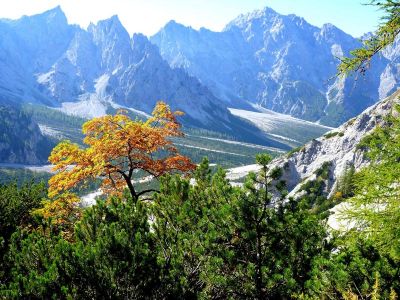 033-Herbstwald hoch ueber dem Wimbachgries